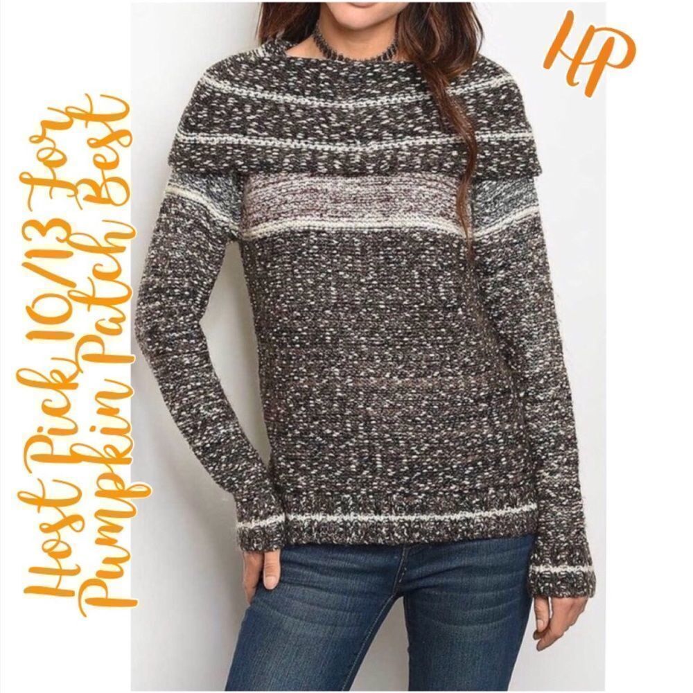 M. Rena  Long Sleeve Knit Sweater With Cowl Neck In Brown And Tan Size Large NWT